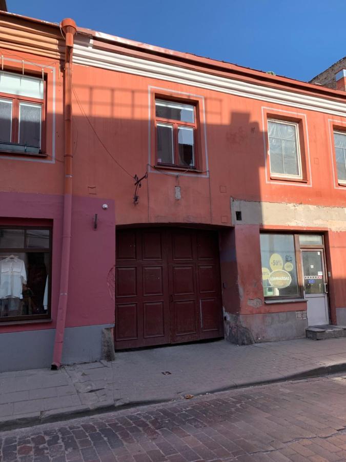 Old Studio Apartment Vilnius Ngoại thất bức ảnh